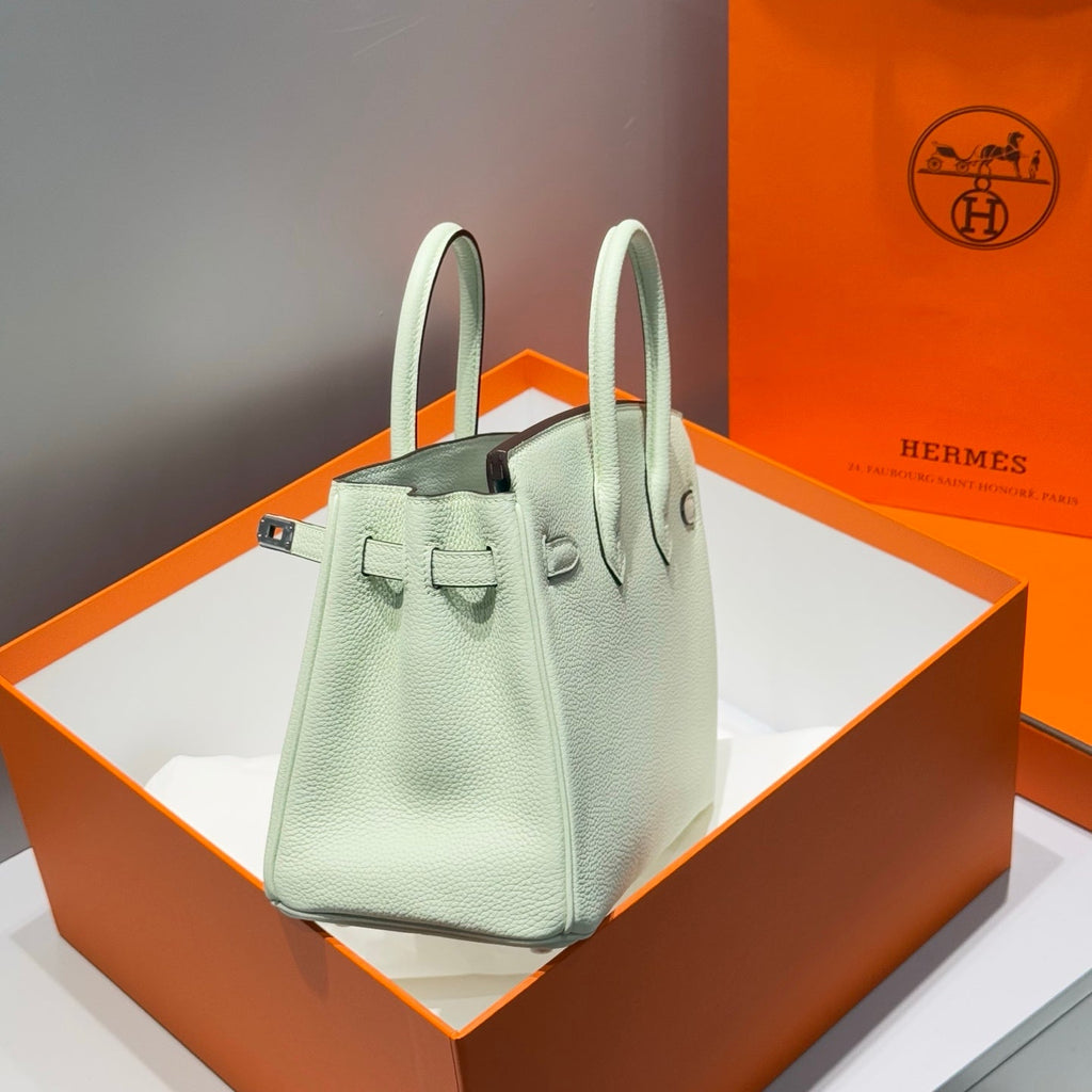 Hermes 25S Medium Birkin 25 in Light Mint Green Calfskin Silver Hardware Bag
